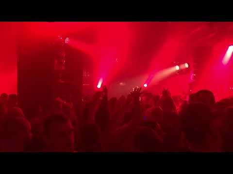 Dr. Peacock @ snakepit 2017