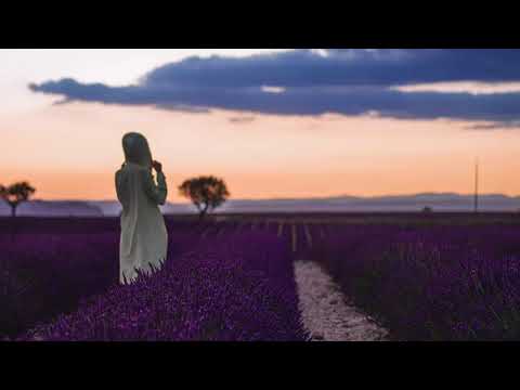 Anemoia & Boti - Lavendé (Original Mix) [Art Vibes]