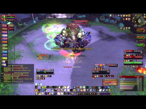 Brackenspore normal kill