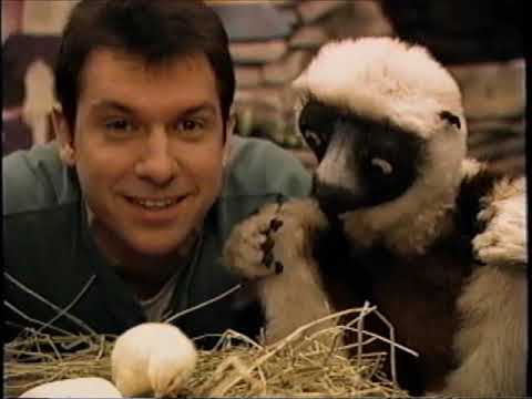 Zoboomafoo - Zoboo's Little Pals
