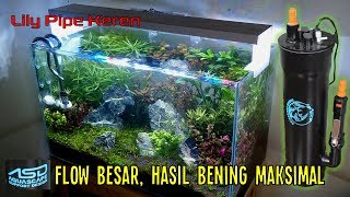 Review DIY Filter Canister dan Lily Pipe dari ASD (Aquascape Support Design)