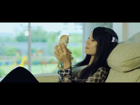 Thangromawia thomte - Sawinin loh MK