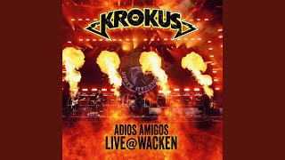 Winning Man (Live Wacken)