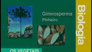 B 01 - Classificação dos Vegetais e Ciclos Reprodutores - Biologia - Vestibulando Digital