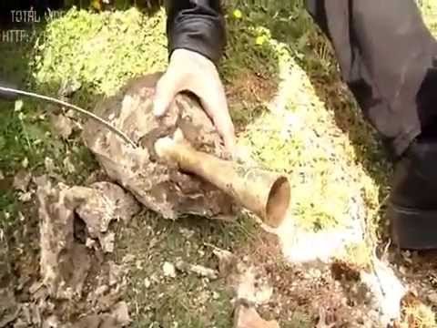 Zbulim i rrallë / Kupa e Lotëve