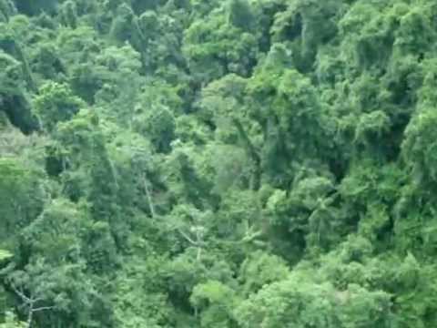 Tirolesa 800 metros. Itirapina Cachoeira Saltão. Estevam