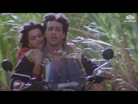 Sanam Mere Sanam | Hum | Alka Yagnik | Govinda | Shilpa | Romantic Songs
