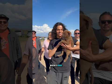 We're native, of course..