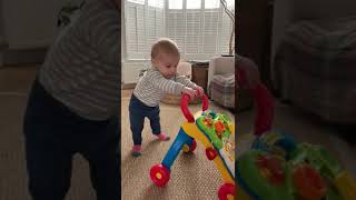 Vtech Baby First Steps Baby Walker