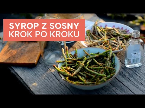 Suplementy na zwiększenie potencji opinie Kuzniecow aplikatora i potencji