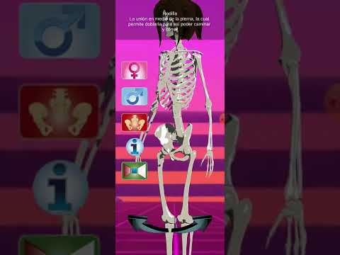 Human Body Learning App