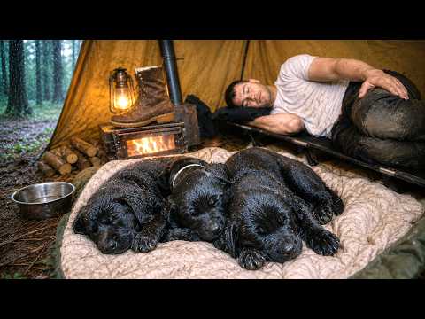 Hot Tent Camping in Heavy Rain With 3x Puppies! Worst Storm Yet?