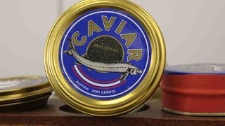 preview picture of video 'Kaviar von Fischzüchter Grüll in Grödig bei Salzburg'
