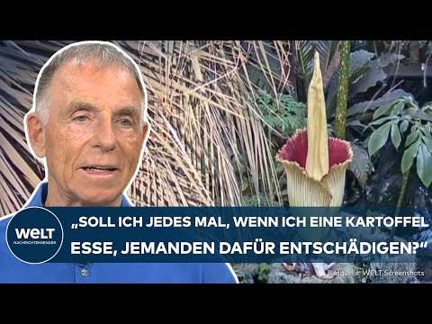 DEUTSCHE GESCHICHTE: Wie viel Kolonialismus steckt in unseren botanischen Gärten?