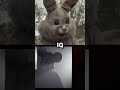 BUNNYMAN VS MICKEY MOUSE TRAP #bunnyman #horror #edit