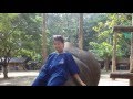 Amy Winnie In Thailand Mahout Training 101