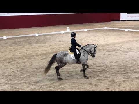 Nicole e Golias  - CEIA - Taça Portugal