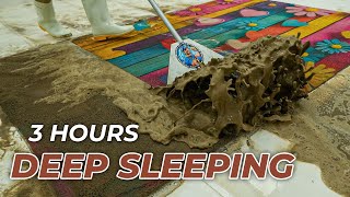 3 Hours Of Magic Carpet Cleaning To Enhance Sleep - Reduce Stress - AS