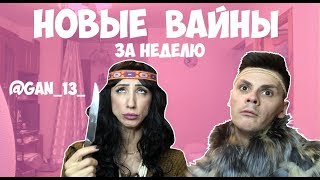 Новые вайны за неделю (#gan_13_)