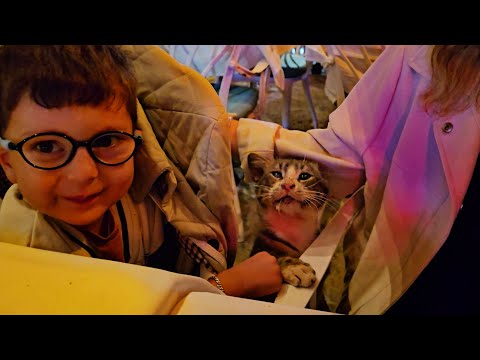 The Cat That Made Our Special Day Unforgettable