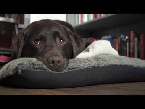 Environ Property Services installing a PIV unit to reduce condensation in a London Property,