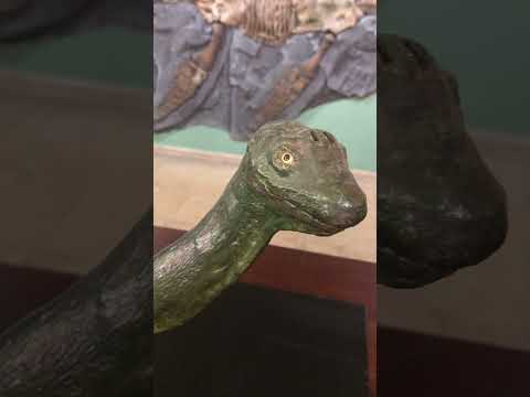 Plesiosaurios en el Museo Saturnino Iglesias