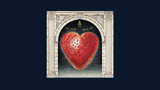 Saintseneca - &quot;Frostbiter&quot;