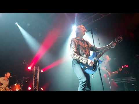 The Fleshtones - "Dancing All Around The World" - Ninkasi