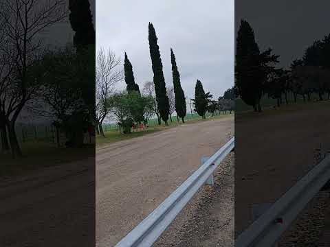 Acceso a la Ciudad de Hernández. Dpto. Nogoya. Entre Rios. 1