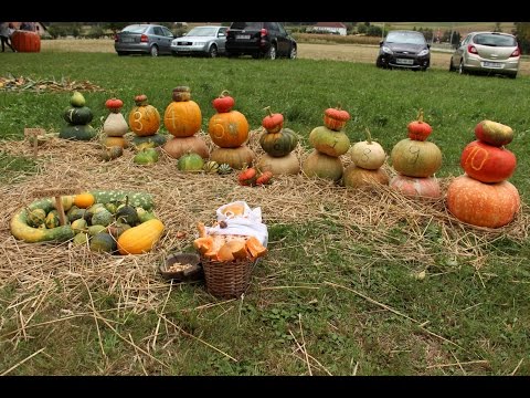 10. Bučarija in pesem o buči