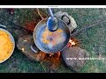 CHICKEN PAKODA RECIPE MAKING IN VILLAGE Street Food