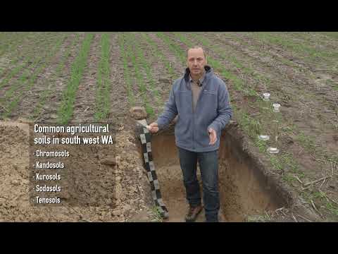 Australian Soil Classification System