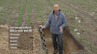 Australian Soil Classification system