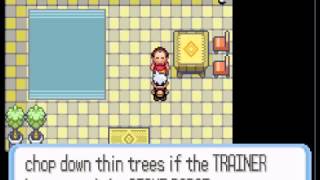 Pokemon Ruby   How to get Cut and Rocksmash