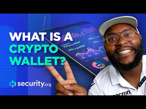 Beginner's Guide to Crypto Wallets! (Part 1)