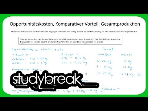 Opportunitätskosten, Komparativer Vorteil, Gesamtproduktion | Volkswirtschaftslehre