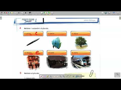 2 Gjuha Italiane A1 Mesimi 2 #mesoitalisht #gjuhaitaliane #italishtpershqiptaret #italishtniveliA1