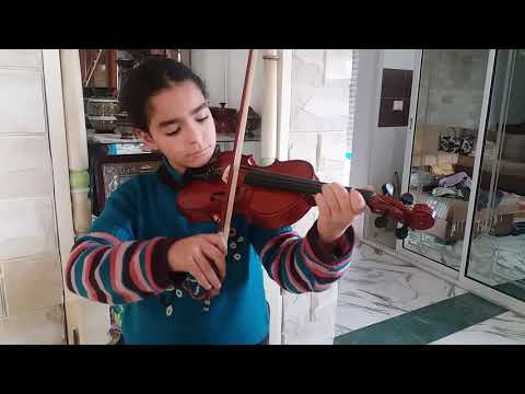 Cours d'initiation - Violon