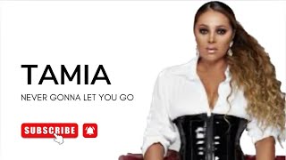 TAMIA - NEVER GONNA LET YOU GO (LYRICS)