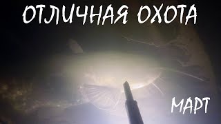 Добывание пищи охотой и рыбной ловлей презентация