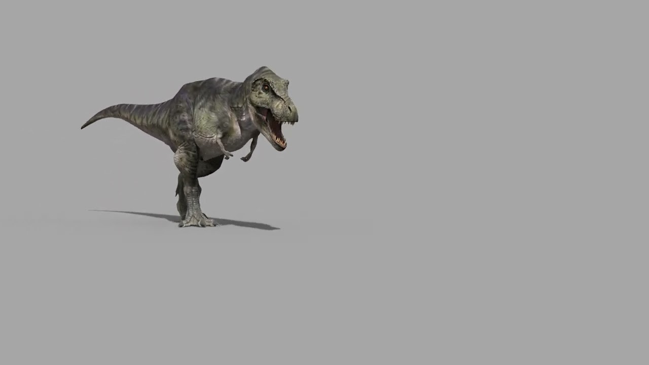 Accurate T Rex 8K - fully animated 3D Model