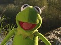 Kermit S Swamp Years Trailer