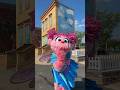 Get Ready Friends Because Sesame Place Is Sliding Into TikTok And It S Going To Be A Wild Ride