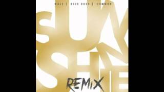 Wale - Sunshine (Remix) ft Rick Ross &amp; Common