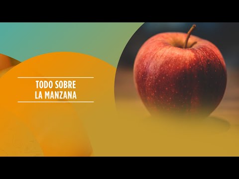 Todo sobre la manzana