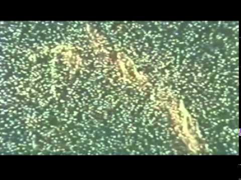 Rendezvous in Space.  (Complete film from the 1964 World's Fair)