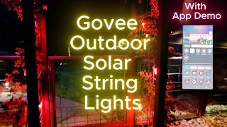 Best Solar Powered Smart String Lights for Outdoors