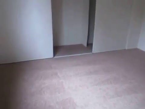 PL5639 - Newly Remodeled 1 Bed + 1 Bath Apartment for Rent! (Sherman Oaks, CA)