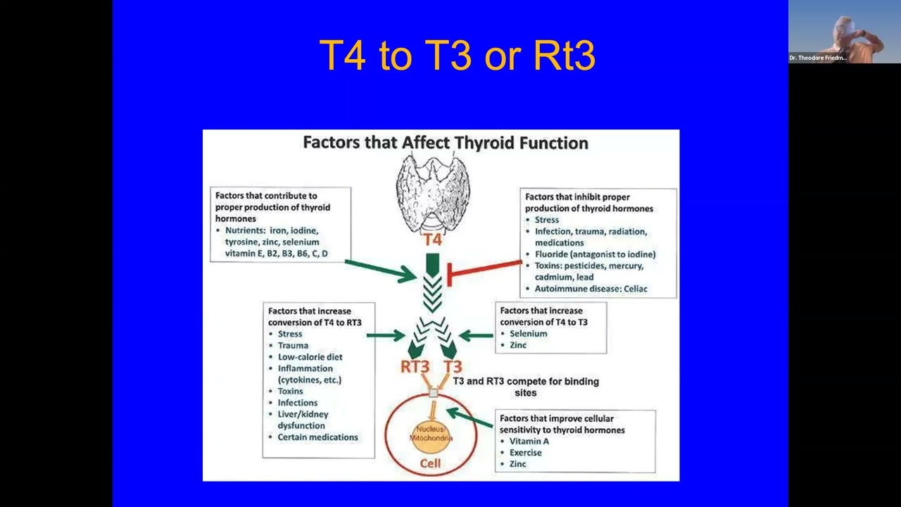 Reverse T3 in Patients with Hypothyroidism on Different Thyroid Hormone Replacement