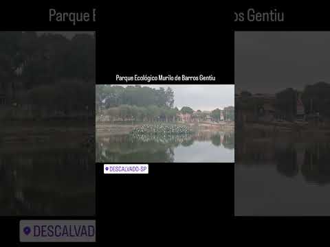 Descalvado, São Paulo #caminhão #gratidão #rodogheltransportes